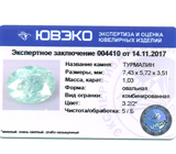Tourmaline (Параиба турмалин) 1,03 карат Не указан