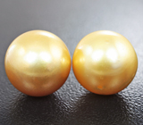 Золотые пусеты с «золотым» морским жемчугом 20,93 карат! Натуральный цвет Золото
