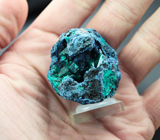 Кристаллы диоптаза в шаттуките и планшеите 