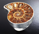 Стильное серебряное кольцо с аммонитом Серебро 925