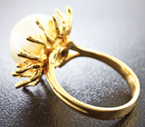 Золотое кольцо с морской жемчужиной 14,69 карат! Исключительный люстр Золото