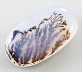 Дендритический агат 6,95 карат 