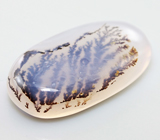 Дендритический агат 6,95 карат 