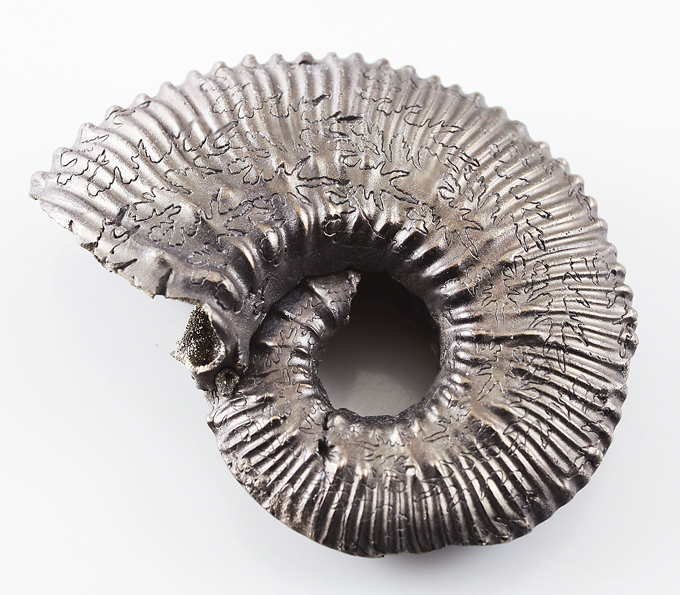 Пиритовый аммонит 67,5 карат