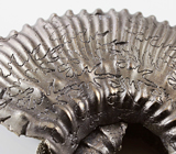 Пиритовый аммонит 67,5 карат 