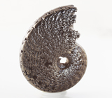 Пиритовый аммонит 29,37 карат 