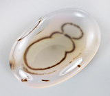 Дендритический агат 33,9 карат 