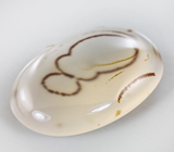 Дендритический агат 33,9 карат 