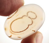 Дендритический агат 33,9 карат 