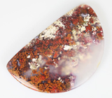 Дендритический агат 52,55 карат 