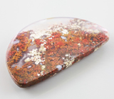 Дендритический агат 52,55 карат 