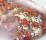 Дендритический агат 52,55 карат 