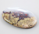 «Садовый» агат 57,7 карат 