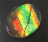 Серьги с аммолитами аммонитов, цаворитами гранатами и сапфирами