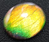 Серьги с аммолитами аммонитов, цаворитами гранатами и сапфирами