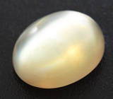 Moonstone cat