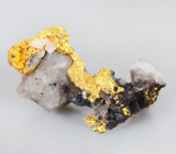 Gold on quartz (Золото на кварце) 2,1 карат Не указан