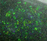 Опал 18,86 карат 