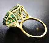 Золотое кольцо с муассанитом эксклюзивного размера 20,7 карат Золото