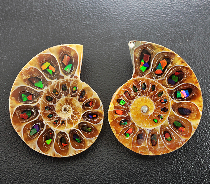 Пара аммонитов с опализированными фрагментами 63 карат