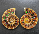 Пара аммонитов с опализированными фрагментами 63 карат 