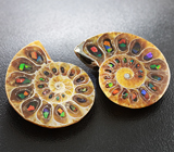 Пара аммонитов с опализированными фрагментами 63 карат 