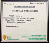 Tremolite (Тремолит) 1,97 карат  