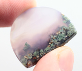 Крупный! «Садовый» агат 39,25 карат 