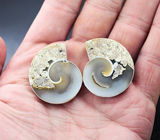 Пара агатизированных слайсов моллюска 