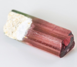 Кристалл арбузного турмалина 5,32 карат 