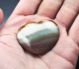 Многоцветный агат 183,5 карат 