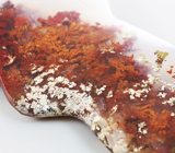 Крупный резной «садовый» агат 68,87 карат 