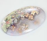 Крупный «садовый» агат 108,87 карат 