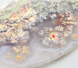 Крупный «садовый» агат 108,87 карат 