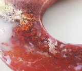 «Садовый» агат в форме полумесяца 24,83 карат 