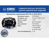 Nuummite (Нууммит) 11,40 карата Не указан