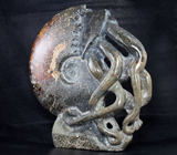 Крупный мадагаскарский аммонит 