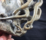 Крупный мадагаскарский аммонит 