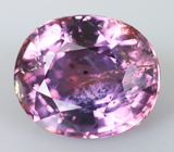 Без нагрева! Сапфир со сменой цвета 1,79 карата 