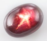 Кольцо со звездчатым рубином и красными сапфирами