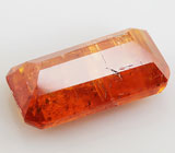 Kyanite (Кианит) 1,73 карата Не указан