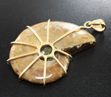 Золотой кулон с аммонитом с мозаикой из аммолита 35,84 карата Золото