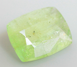 Pargasite (Паргасит) 0,47 карата Не указан