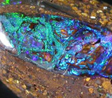Австралийский черный опал c фиолетово-зеленой опалесценцией 