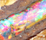 Boulder opal (Болдер опал) 4,81 карата 