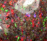 Многоцветный опал 4,92 карат 