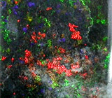 Многоцветный опал 7,65 карат 