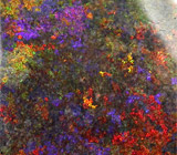 Крупный многоцветный опал 15,65 карат 