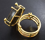 Золотое кольцо с аммолитом аммонита 17,32 карата, красными сапфирами и цаворитами Золото