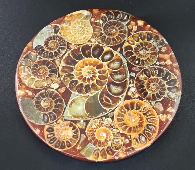 Слайс с аммонитами на подставке 184 грамма